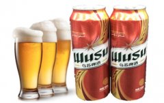 烏蘇啤酒好喝嗎？(烏蘇啤酒好喝嗎啤酒排行榜)