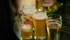 青島青邑啤酒500毫升罐裝多少錢(青島青邑啤酒320ml價(jià)格)