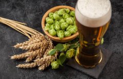 市面上的啤酒都是工業(yè)啤酒嗎？（如何進(jìn)行啤酒綜合評(píng)估？）